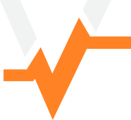 V Logo